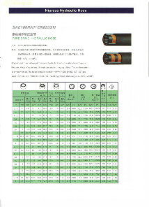 HIPRESS,鋼絲編織液壓軟管,SAE100RAT,EN853SN