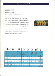 HIPRESS,鋼絲纏繞液壓軟管,EN856-4SP,EN856-4SH